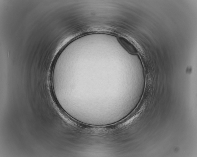 X0000095520893200801111433