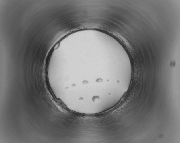 X0000095520894200801111433