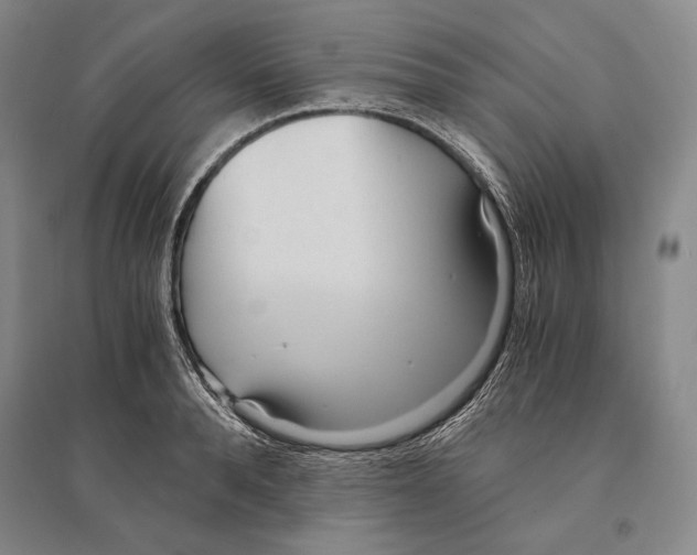 X0000095520896200801111433