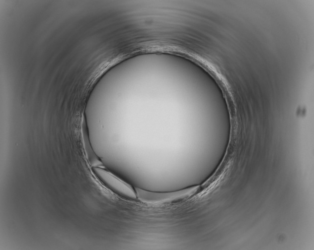 X0000095520897200801111433