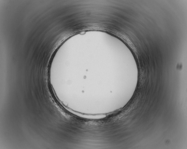 X0000095520898200801111433