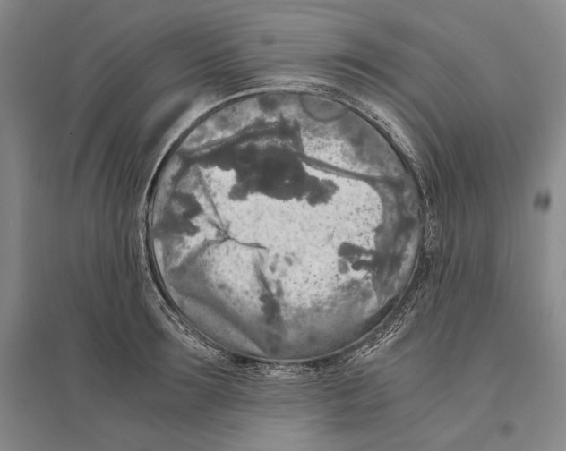 X0000095520899200801111433