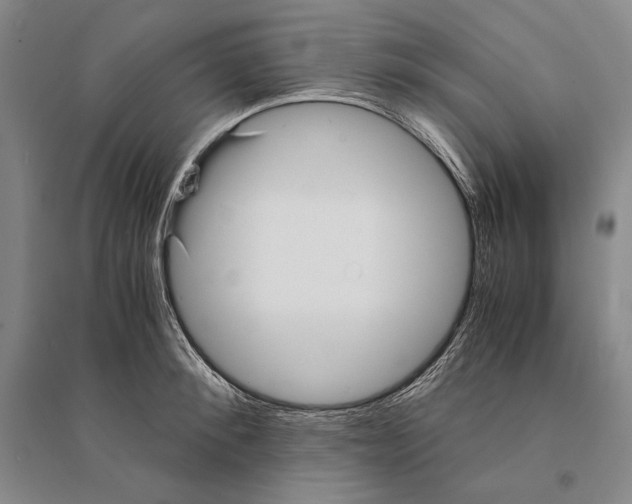 X0000095520900200801111433