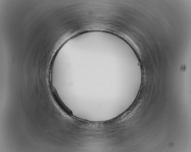 X0000095520901200801111433