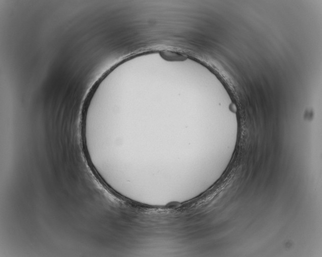 X0000095520902200801111433