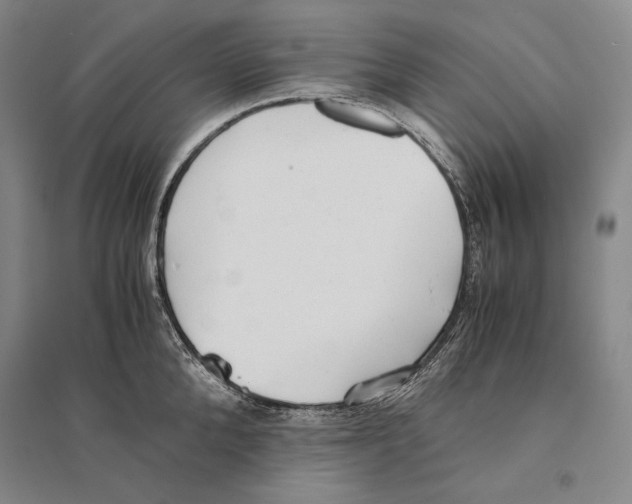 X0000095520904200801111433