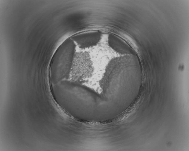 X0000095520907200801111433