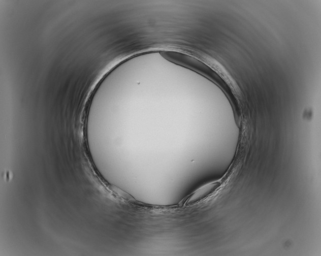 X0000095520908200801111433