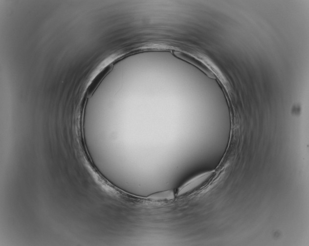 X0000095520909200801111433