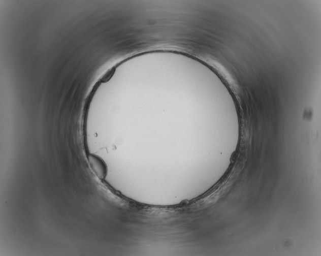 X0000095520910200801111433