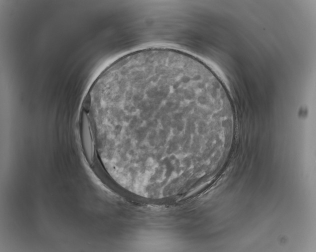 X0000095520911200801111433