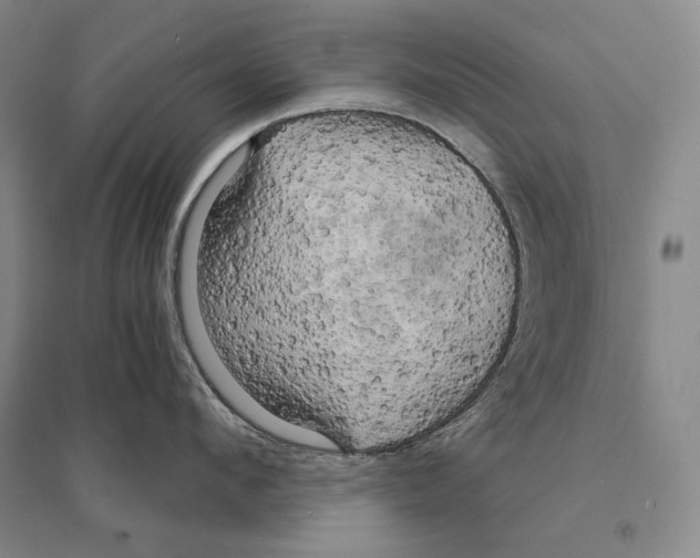 X0000095520912200801111433