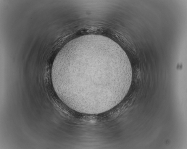 X0000095520914200801111432