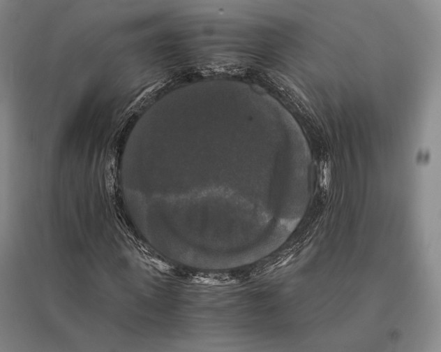 X0000095520915200801111432