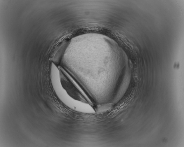 X0000095520916200801111432