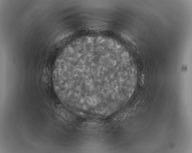 X0000095520917200801111432