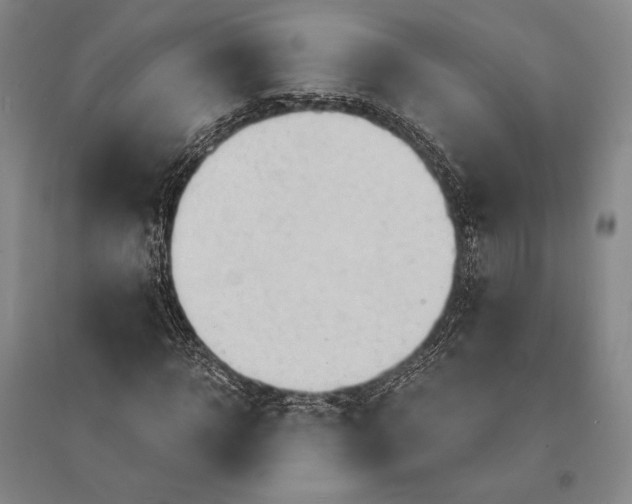 X0000095520918200801111432