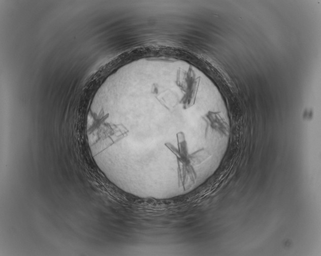 X0000095520919200801111432