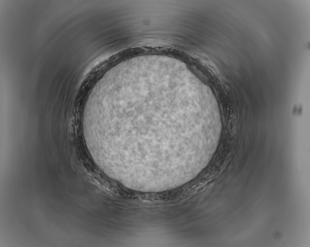 X0000095520920200801111432