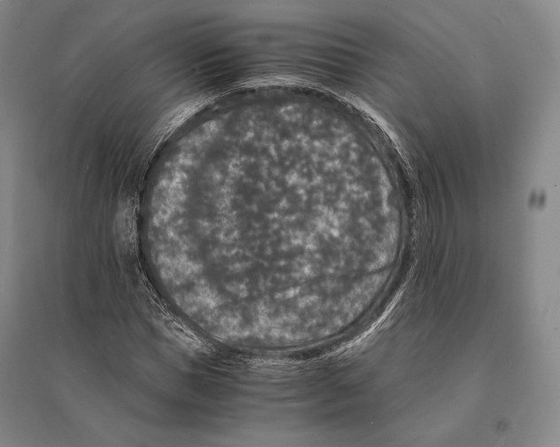 X0000095520921200801111432