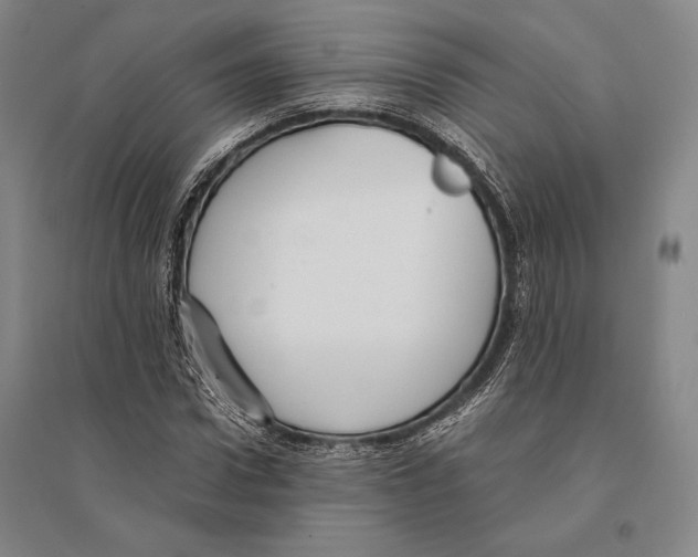 X0000095520922200801111432