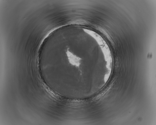 X0000095520923200801111432