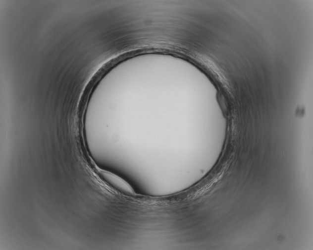 X0000095520924200801111432