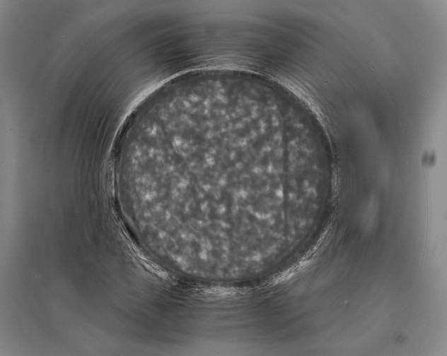 X0000095520925200801111432