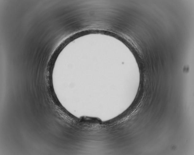 X0000095520926200801111432