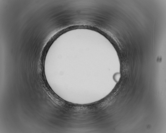 X0000095520927200801111433