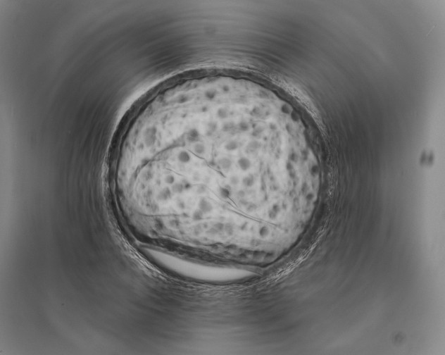 X0000095520928200801111433