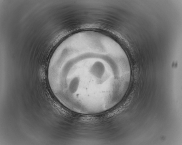 X0000095520929200801111433