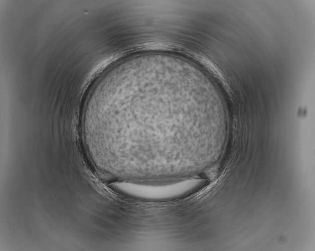 X0000095520930200801111433