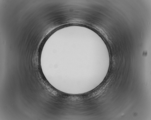 X0000095520931200801111433