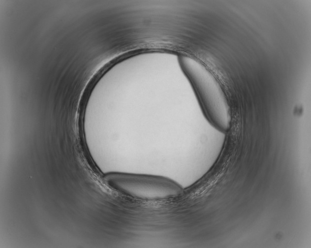 X0000095520932200801111433