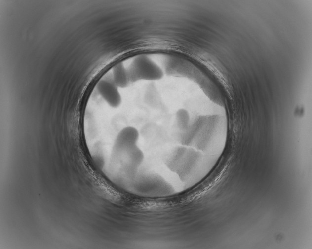 X0000095520933200801111433