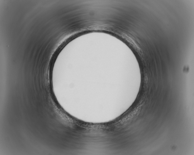 X0000095520934200801111433