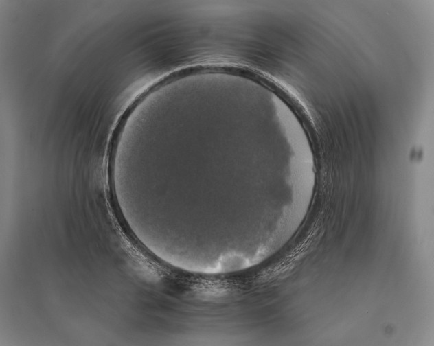 X0000095520935200801111433