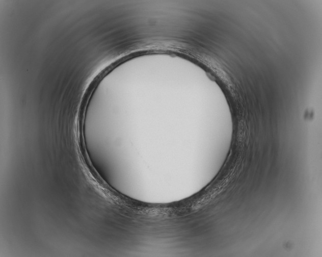 X0000095520936200801111433