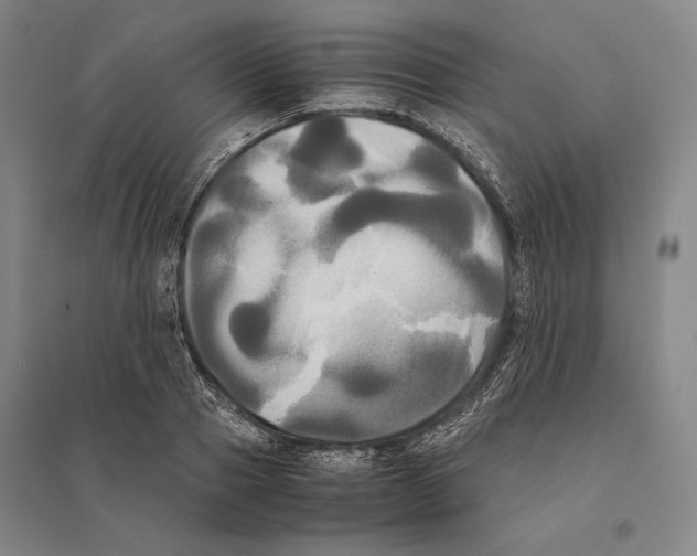 X0000095520937200801111433