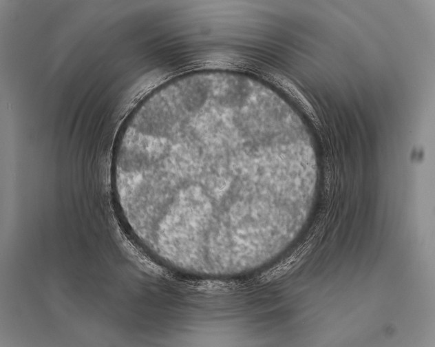 X0000095520938200801111433