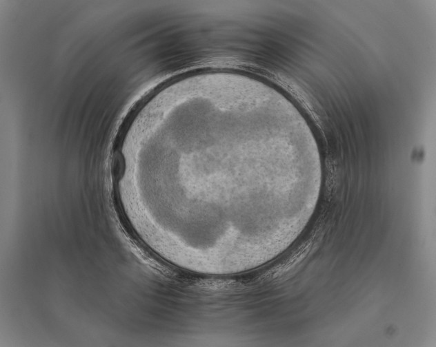 X0000095520939200801111433