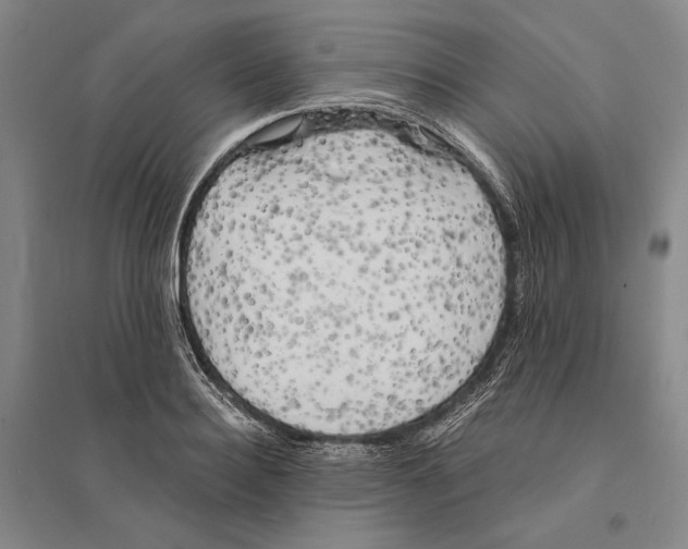 X0000095520940200801111433