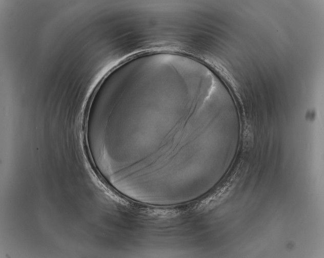 X0000095520941200801111433