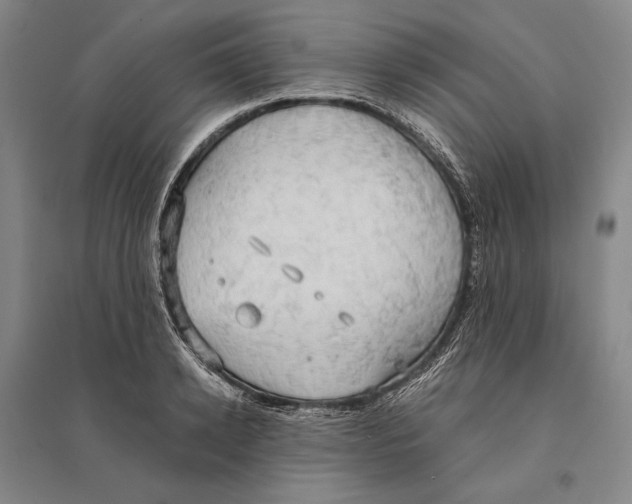 X0000095520942200801111433