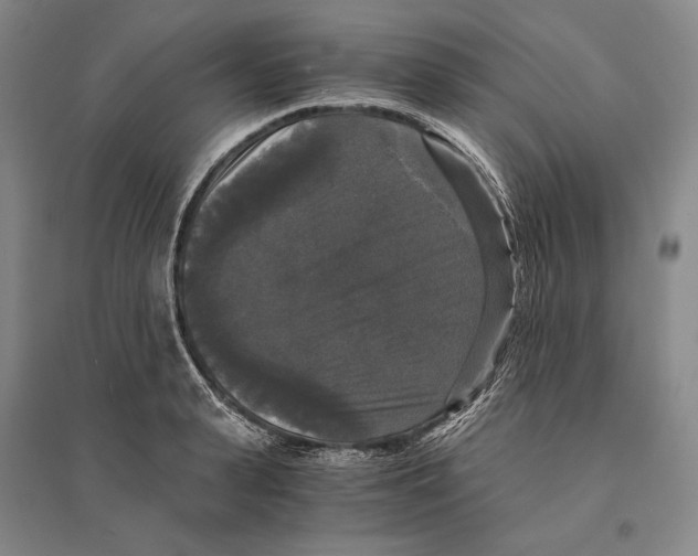 X0000095520943200801111433