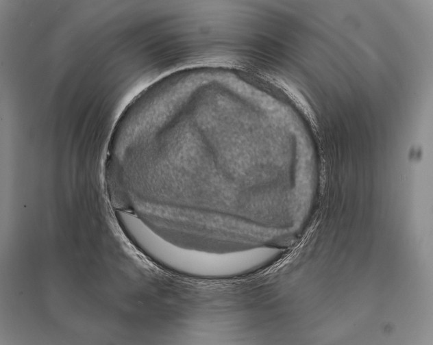 X0000095520944200801111433