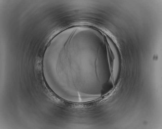 X0000095520945200801111433