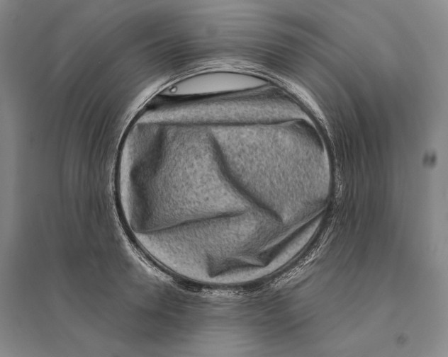 X0000095520946200801111433