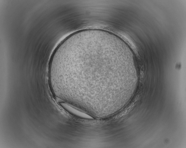 X0000095520948200801111433